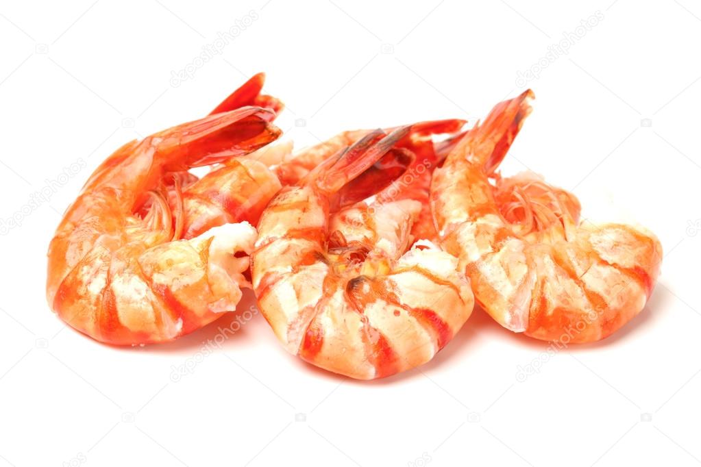 Shrimps