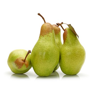 armut beyaz arkaplanda