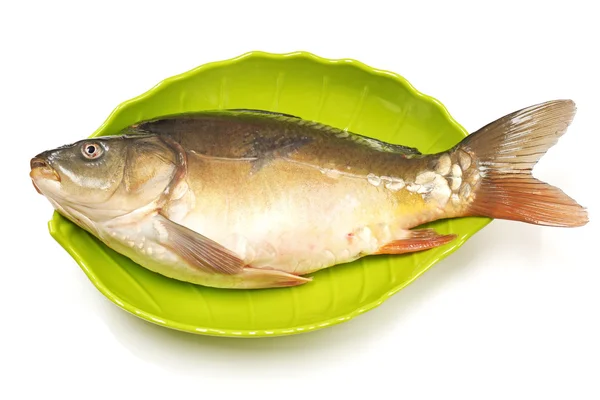 Carpa de peixe cru no fundo branco — Fotografia de Stock