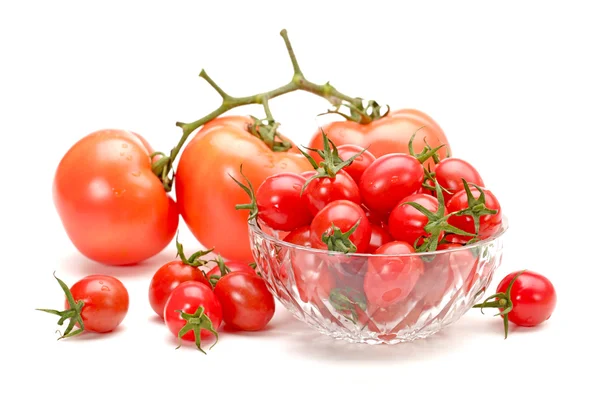 Tomate cereza pequeño sobre fondo blanco de cerca —  Fotos de Stock