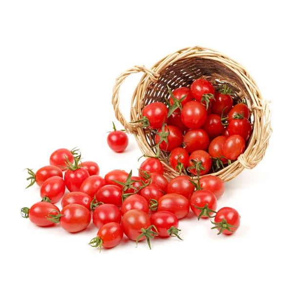 Tomate cereza pequeño sobre fondo blanco de cerca —  Fotos de Stock