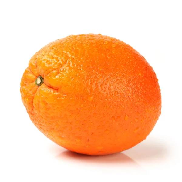 Oranje op de witte achtergrond — Stockfoto