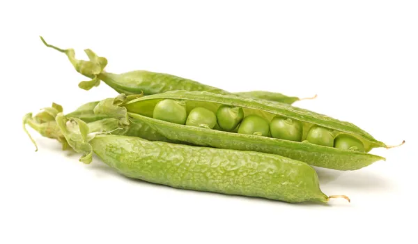 Ripe pea vegetable, Isolated on white background — Stock Photo, Image