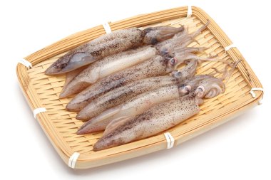 taze mürekkep balığı yakaladım