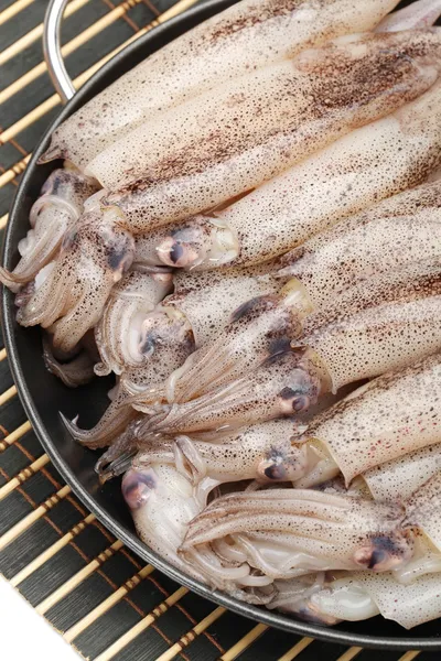 Freshly caught squid — Stock Photo, Image