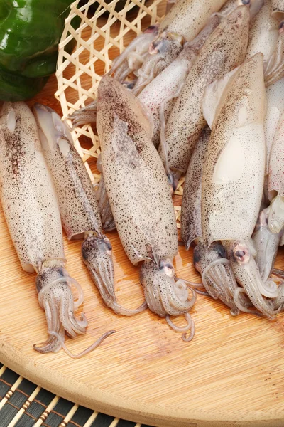 Freshly caught squid — Stock Photo, Image