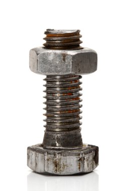 Mango beyaz zemin üzerine