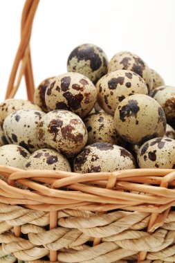 Beyaz arka planda bıldırcın yumurtaları