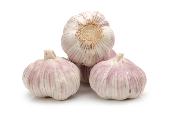 Fresh garlic isolated on white background — Stock Photo, Image