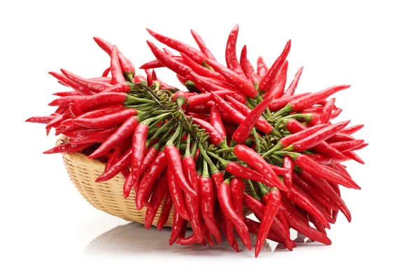 Beyaz arkaplanda Red Hot Chili — Stok fotoğraf