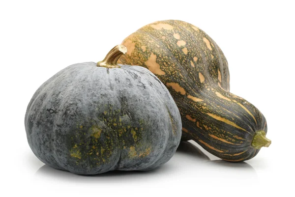 Zucca su sfondo bianco — Foto Stock