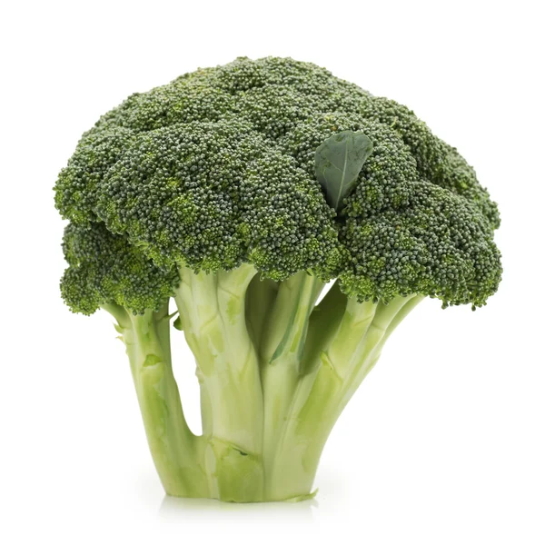 Broccoli isolati su fondo bianco — Foto Stock