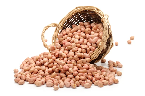 Peanut kernel isolated on white background — Stock Photo, Image