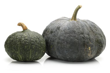 beyaz arkaplanda kabak