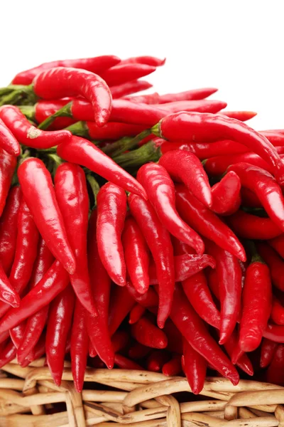 Red Hot Chili på vit bakgrund — Stockfoto