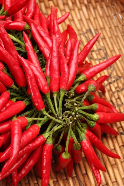 Chili chaud rouge sur fond blanc — Photo