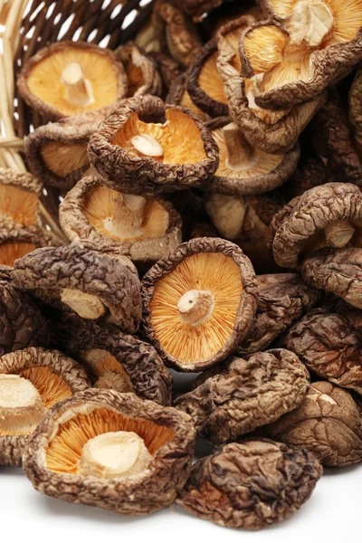 Dry Mushrooms isolated on white background — Stock Photo, Image