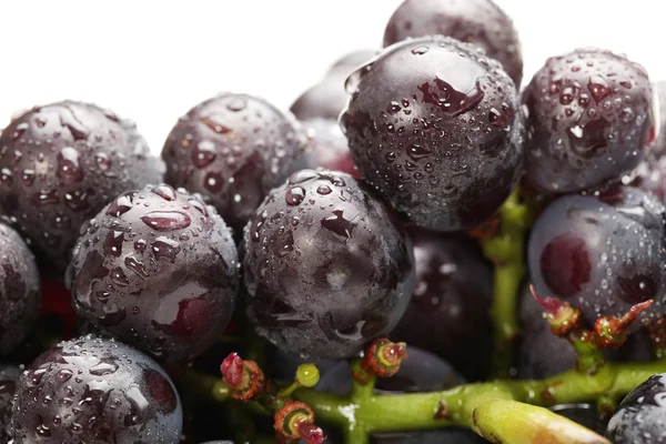 Grapes on white background — Stock Photo, Image