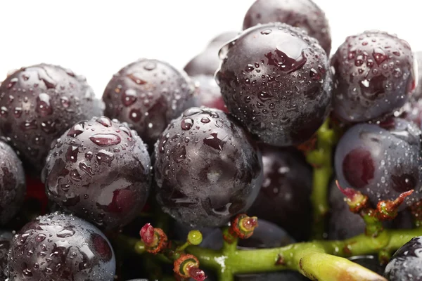 Uvas sobre fundo branco — Fotografia de Stock