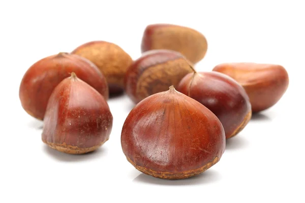 Hazelnuts on white background — Stock Photo, Image