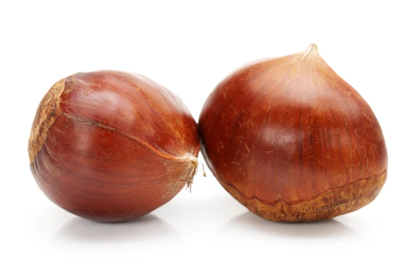 Hazelnuts on white background — Stock Photo, Image