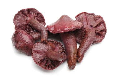 haşlanmış kızıl çam ağacı, beyaz arka plan üzerinde ham pişirme mantar