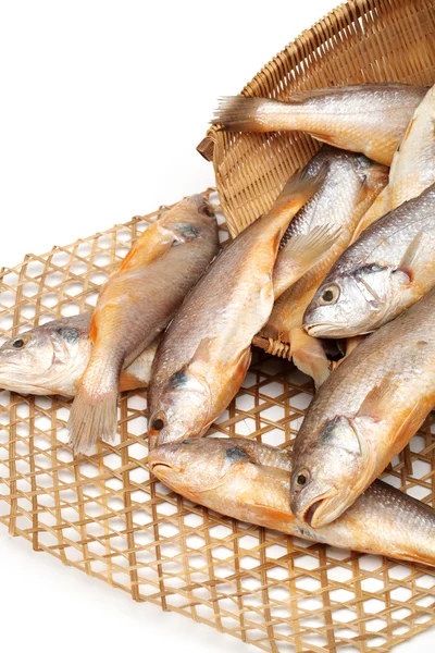 Yellow Croaker Fish On White background — Stock Photo, Image