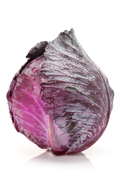 Frischer Rotkohl auf weißem Hintergrund — Stockfoto