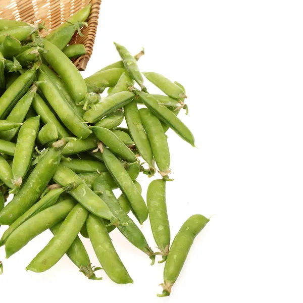 Snow peas isolated on white background — Stock Photo, Image