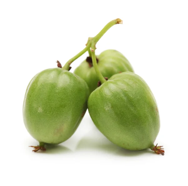 Fruta de bebê mini kiwi (actinidia arguta) — Fotografia de Stock