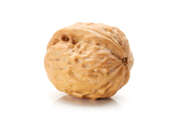 Walnut on white background — Stock Photo, Image