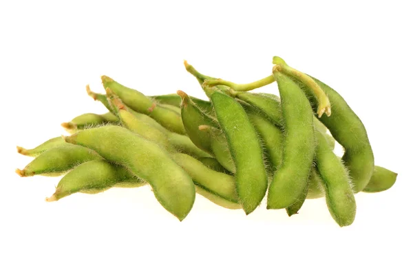 Fresh harvested soybean — Stockfoto