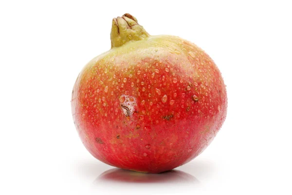 Fruto de granada madura aislado sobre fondo blanco —  Fotos de Stock