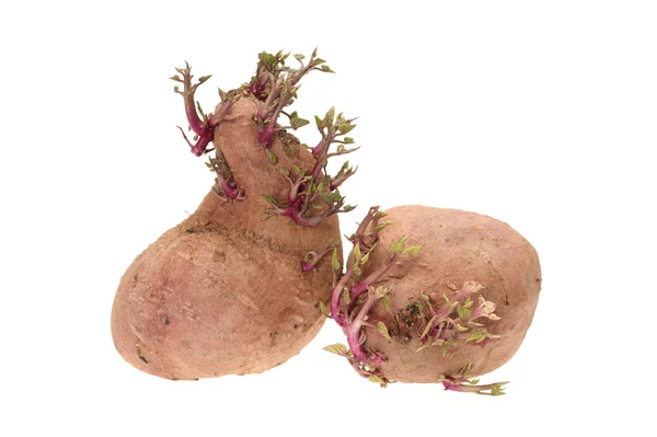 पांढरा पार्श्वभूमीवर विरघळलेले गुलाबी बटाटे — स्टॉक फोटो, इमेज