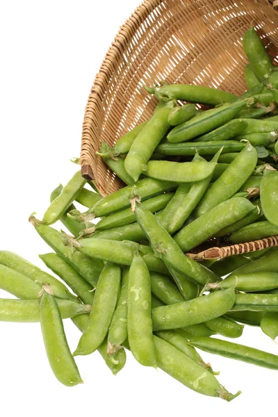 Ripe pea vegetable — Stock Photo, Image