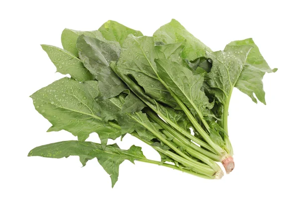 Spinach on white background — Stock Photo, Image