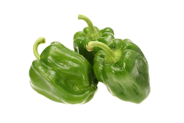 Green pepper on white background — Stock Photo, Image