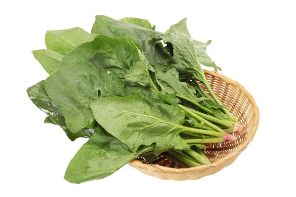 Spinach on white background — Stock Photo, Image