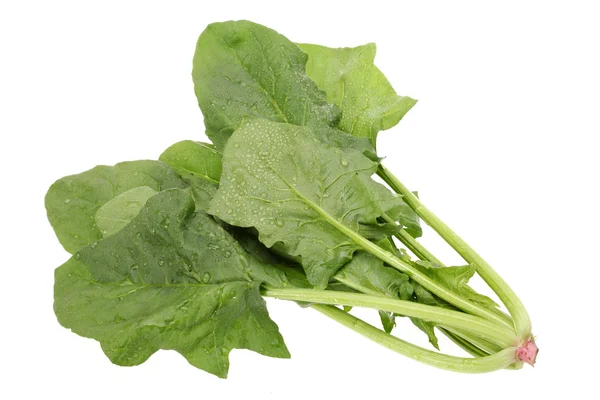 Spinach on white background — Stock Photo, Image