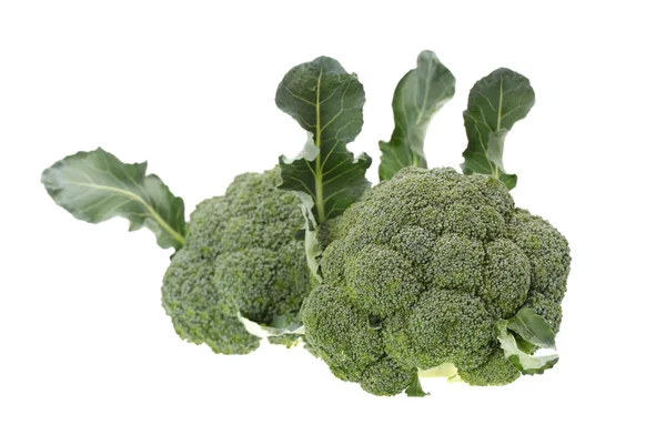 Broccoli vegetali isolati su fondo bianco — Foto Stock