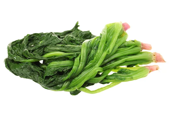 Gekookte spinazie op de witte achtergrond — Stockfoto
