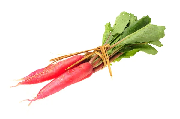 Rabanete vermelho fresco com folha verde sobre fundo branco — Fotografia de Stock