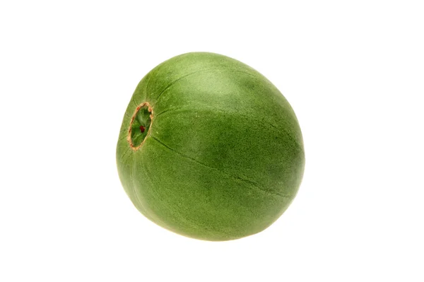Meloun cukrový na bílém pozadí — Stock fotografie