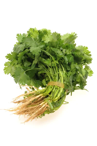 Parsley on White Background — Stock Photo, Image