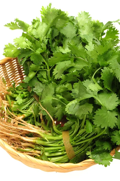 Parsley on White Background — Stock Photo, Image