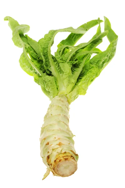 Asparagus lettuce on white background — Stock Photo, Image