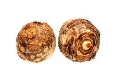 beyaz zemin üzerine Taro