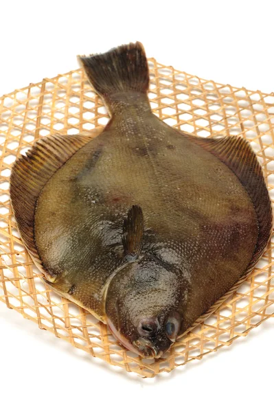 Peces rodaballo, aislados en blanco —  Fotos de Stock