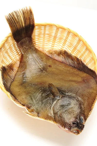 鰈の魚、白で隔離されます。 — ストック写真