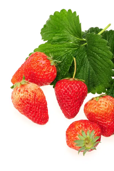Fresa fresca sobre fondo blanco —  Fotos de Stock
